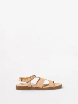 Arenisca N5879